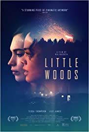LITTLE WOODS Release Poster
